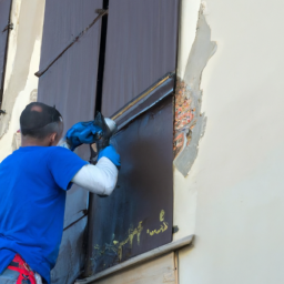 Crépis : optez pour une façade rustique et chaleureuse Villefontaine